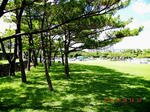 20120726Yagaistage-2.jpg